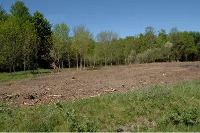 W Marshville Dam Road, Shelby, MI 49455 - Photo 5