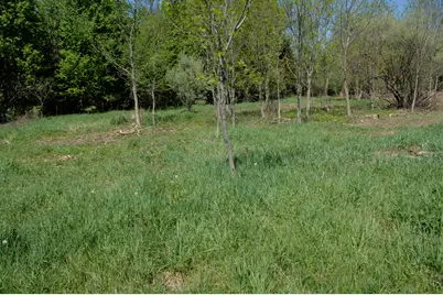 W Marshville Dam Road, Shelby, MI 49455 - Photo 11