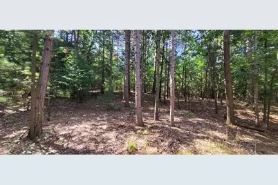 S 32nd Avenue, Shelby, MI 49455 - Photo 3