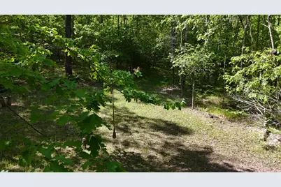 W 7 Mile Road, Irons, MI 49644 - Photo 7