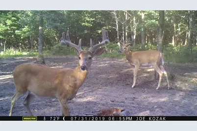 W 7 Mile Road, Irons, MI 49644 - Photo 37