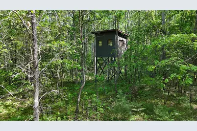 W 7 Mile Road, Irons, MI 49644 - Photo 3