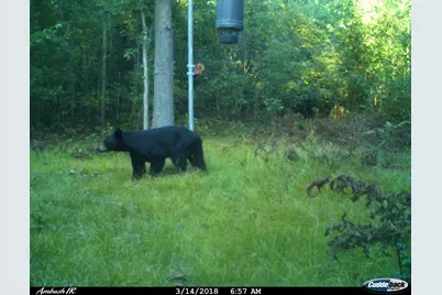 W 7 Mile Road, Irons, MI 49644 - Photo 21