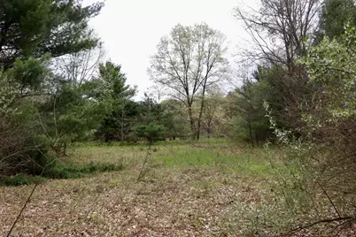 6153 S Branch Road, Branch, MI 49402 - Photo 7