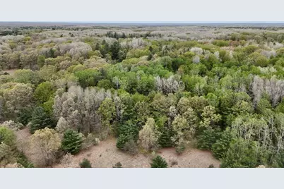 6153 S Branch Road, Branch, MI 49402 - Photo 37