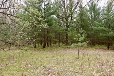 6153 S Branch Road, Branch, MI 49402 - Photo 57
