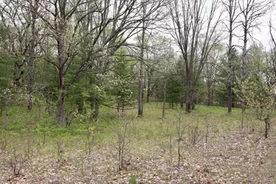 6153 S Branch Road, Branch, MI 49402 - Photo 27