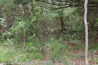 6153 S Branch Road, Branch, MI 49402 - Photo 21