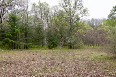 6153 S Branch Road, Branch, MI 49402 - Photo 63