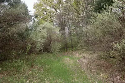 6153 S Branch Road, Branch, MI 49402 - Photo 49