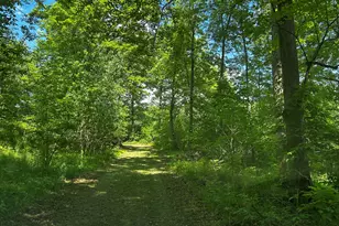 6670 Tower Lake Road NE, Belding, MI 48809 - Photo 17