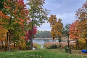 6670 Tower Lake Road NE, Belding, MI 48809 - Photo 3