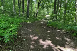 6670 Tower Lake Road NE, Belding, MI 48809 - Photo 33