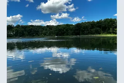 6670 Tower Lake Road NE, Belding, MI 48809 - Photo 5