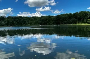6670 Tower Lake Road NE, Belding, MI 48809 - Photo 5
