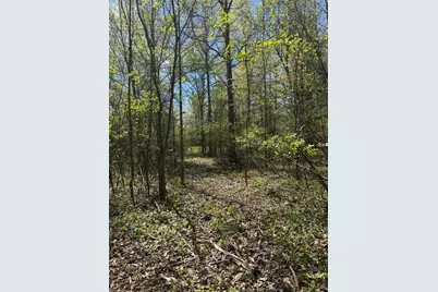 44500 38th Avenue, Paw Paw, MI 49079 - Photo 5
