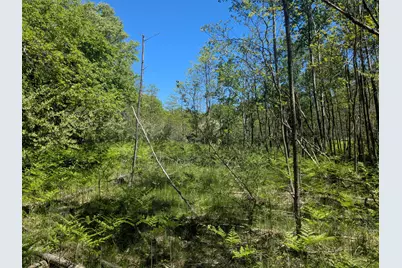40Ac V/L Clements Road, Kaleva, MI 49645 - Photo 3