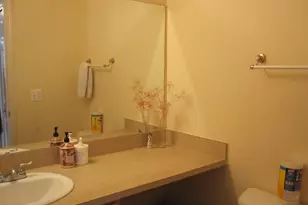 2806 Barclay Wy, Ann Arbor, MI 48105 - Photo 11