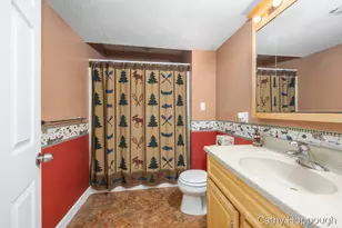 470 Caroline St, Ionia, MI 48846 - Photo 43