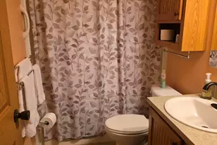705 Peach Ln, Fremont, MI 49412 - Photo 11