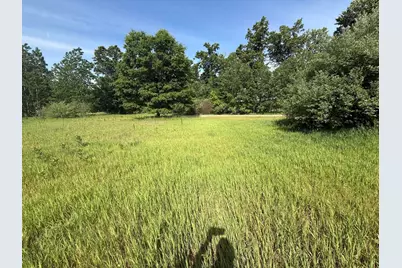 W Royal Road #Lot D, Stanwood, MI 49346 - Photo 3