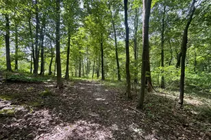 4477 104th Ave, Allegan, MI 49010 - Photo 35