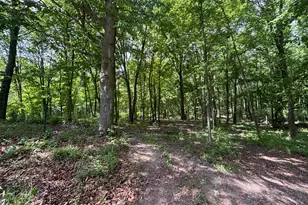 4477 104th Ave, Allegan, MI 49010 - Photo 31