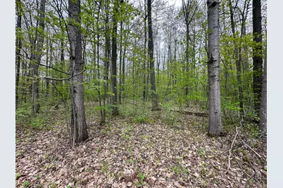 Lot 92 Doe Court, Harrison, MI 48625 - Photo 5