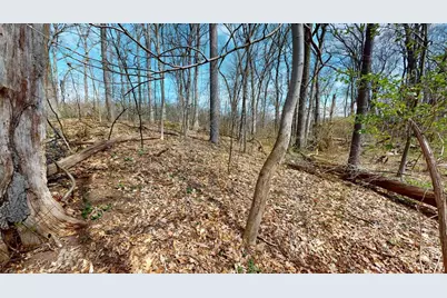 1280 Sunset Road, Ann Arbor, MI 48103 - Photo 107