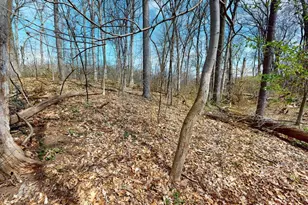1280 Sunset Rd, Ann Arbor, MI 48103 - Photo 107