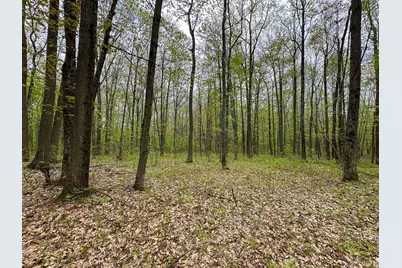 Lot 108 Fawn Circle, Harrison, MI 48625 - Photo 11