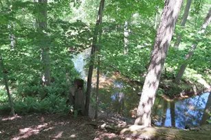 4670 Rescue Rd, Owendale, MI 48754 - Photo 81