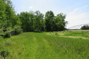 4670 Rescue Rd, Owendale, MI 48754 - Photo 69