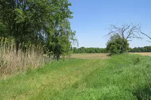 4670 Rescue Rd, Owendale, MI 48754 - Photo 79