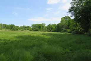 4670 Rescue Rd, Owendale, MI 48754 - Photo 55