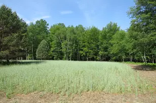 4670 Rescue Rd, Owendale, MI 48754 - Photo 59