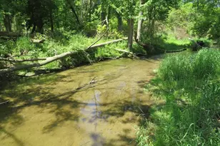 4670 Rescue Rd, Owendale, MI 48754 - Photo 85
