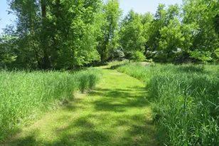 4670 Rescue Rd, Owendale, MI 48754 - Photo 89