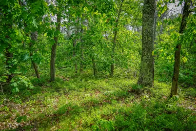 Dorsey Drive, Baldwin, MI 49304 - Photo 17