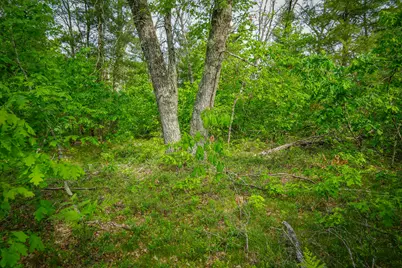 Dorsey Drive, Baldwin, MI 49304 - Photo 21