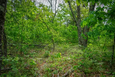 Dorsey Drive, Baldwin, MI 49304 - Photo 13
