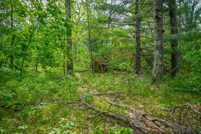 Dorsey Drive, Baldwin, MI 49304 - Photo 15
