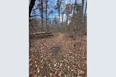 4335 Kings Corner Road, Glennie, MI 48737 - Photo 57