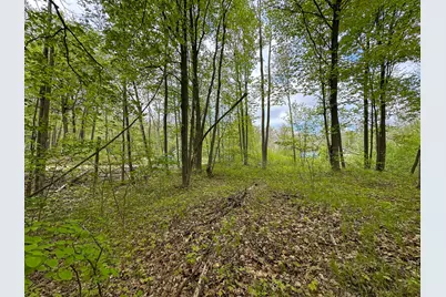 Lot 70 Buck Lane, Harrison, MI 48625 - Photo 9