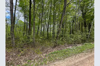 Lot 70 Buck Lane, Harrison, MI 48625 - Photo 11