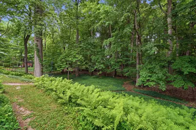 215 Hill Street, Northville, MI 48167 - Photo 49