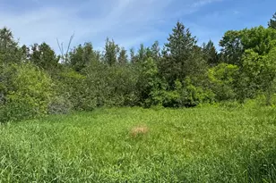 1952 W 16 Rd, Mesick, MI 49668 - Photo 25