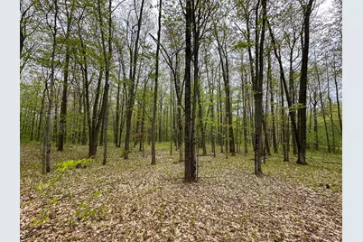 Lot 60 Buck Lane, Harrison, MI 48625 - Photo 13
