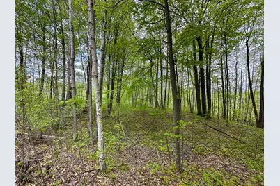 Lot 97 Fawn Circle, Harrison, MI 48625 - Photo 11