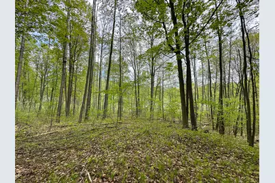 Lot 103 Fawn Circle, Harrison, MI 48625 - Photo 11